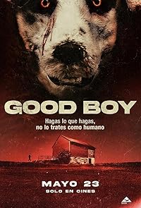 Good Boy 2022 Hindi Dubbed Norwegian Movie Download 480p 720p 1080p Filmy4WEB