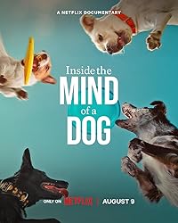 Inside the Mind of a Dog Hindi Dubbed English Movie Download 480p 720p 1080p Filmy4WEB